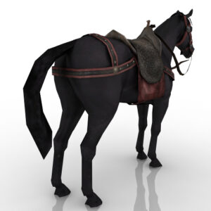 Лошадь